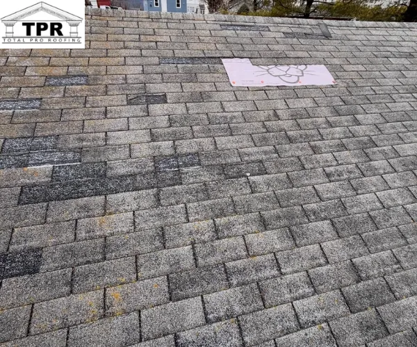 A close-up view of an aged asphalt shingle roof showing significant wear.